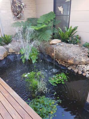 Overnattingsstedets uteområder