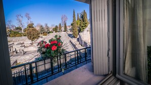 Un balcon offrant une vue sur des ruines antiques et une plante en pot ornée de fleurs rouges.