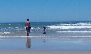 Playa en los alrededores y camastros 