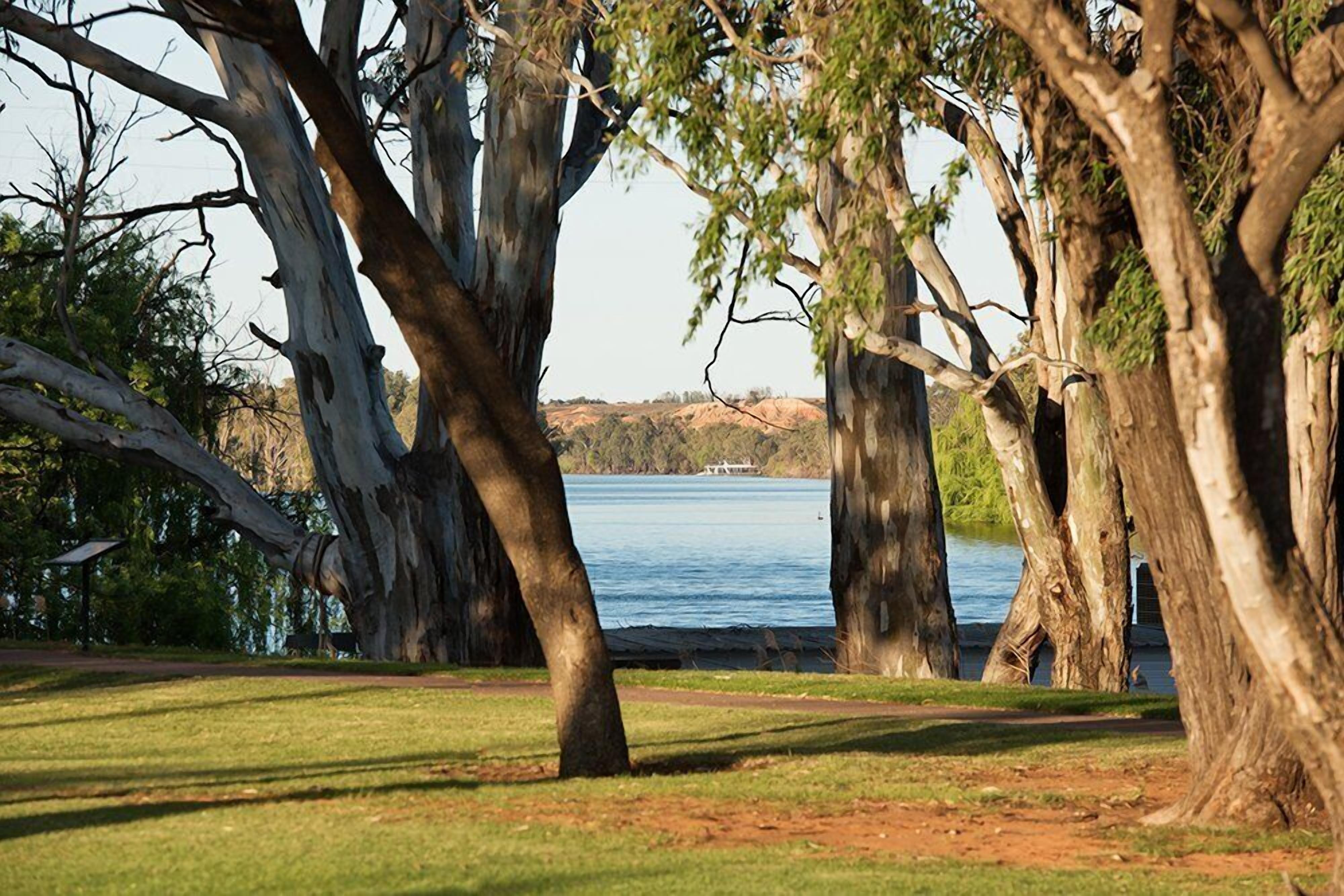 Renmark River Villas No 50 (with pool) - \"The Potter Villa\" — image 11