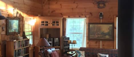 TV, fireplace, DVD player, books