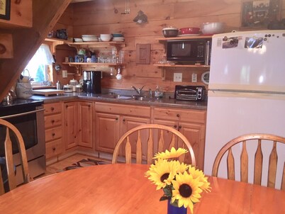 Secluded family-friendly log cabin with swimming pond. Charm,  comfort.