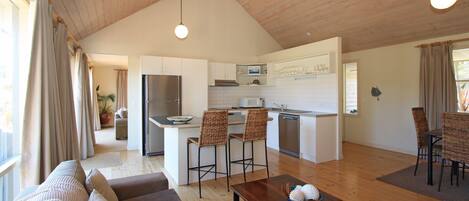 TV connectée, cheminée, lecteur de DVD