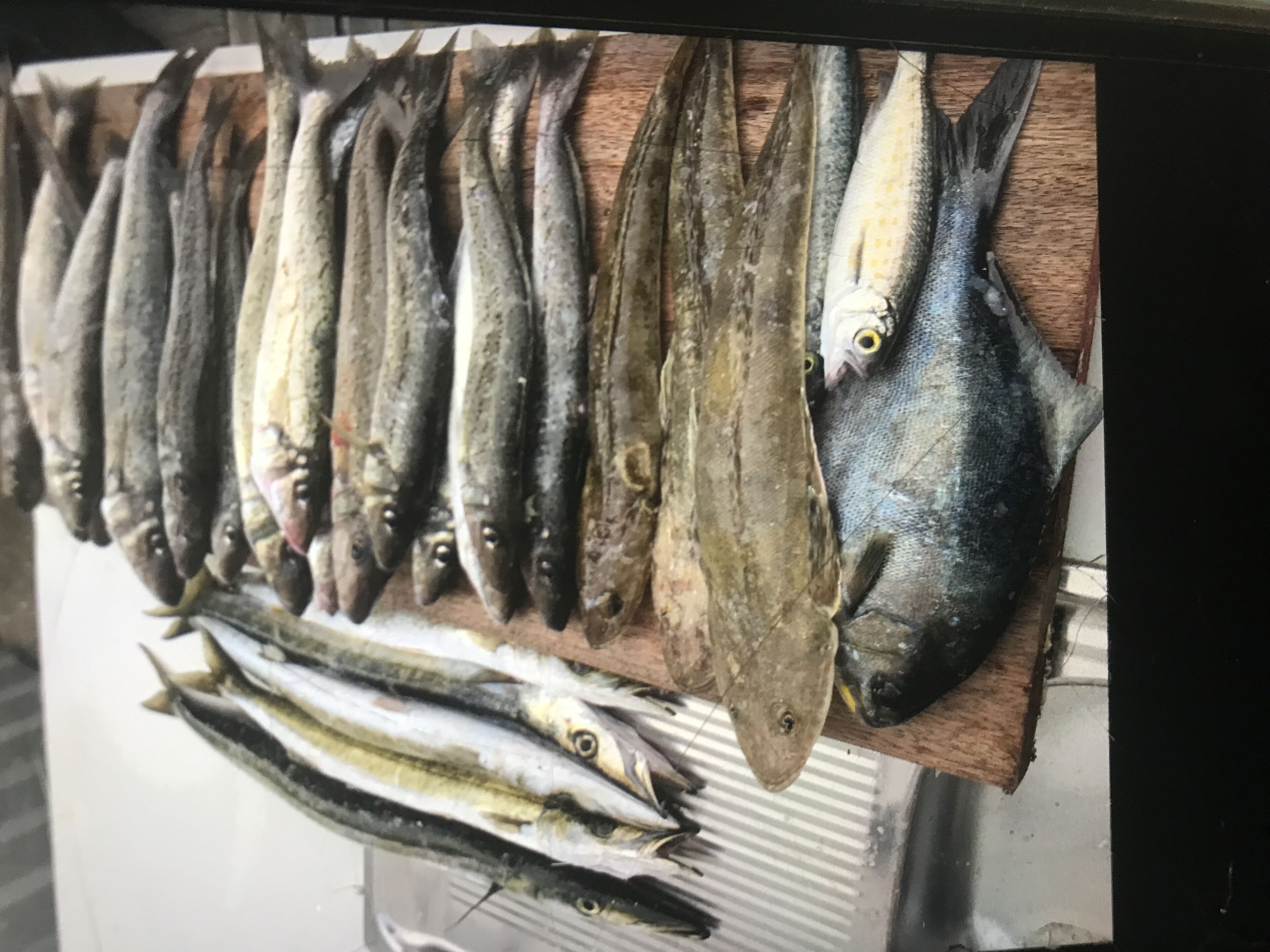 Melaleuca Retreat Marion Bay at the edge of Innes. — image 21