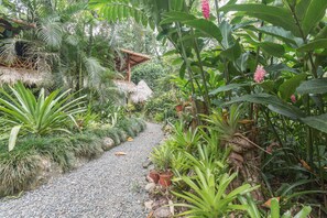 Property grounds - Book now!!  Free EGGS!! Also pool, 300m to beach and great gardens! (Playa Chiquita)