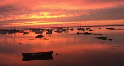 Serenity in Nature's South Shore Playground