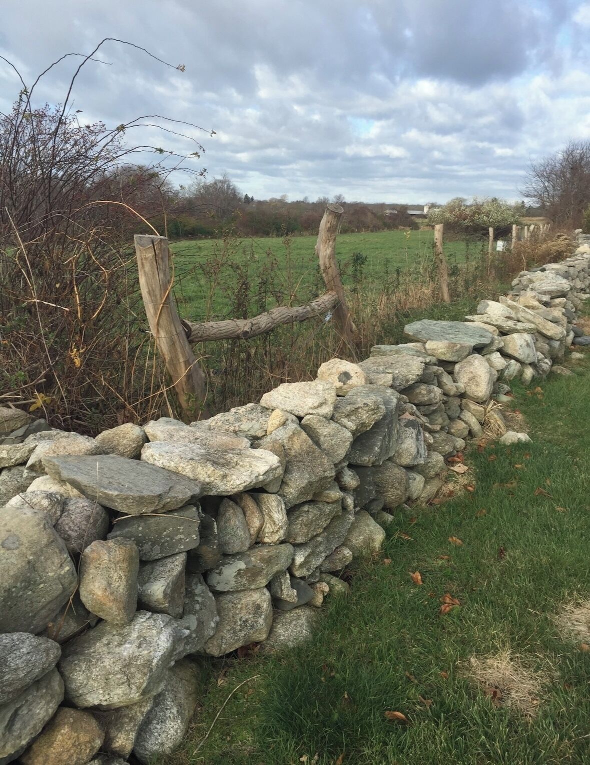 A stone wall with a wooden post, surrounded by grass and shrubs.