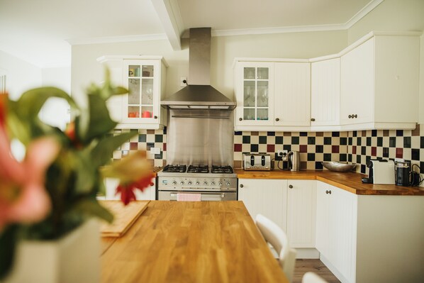 Full-sized fridge, microwave, oven, stovetop