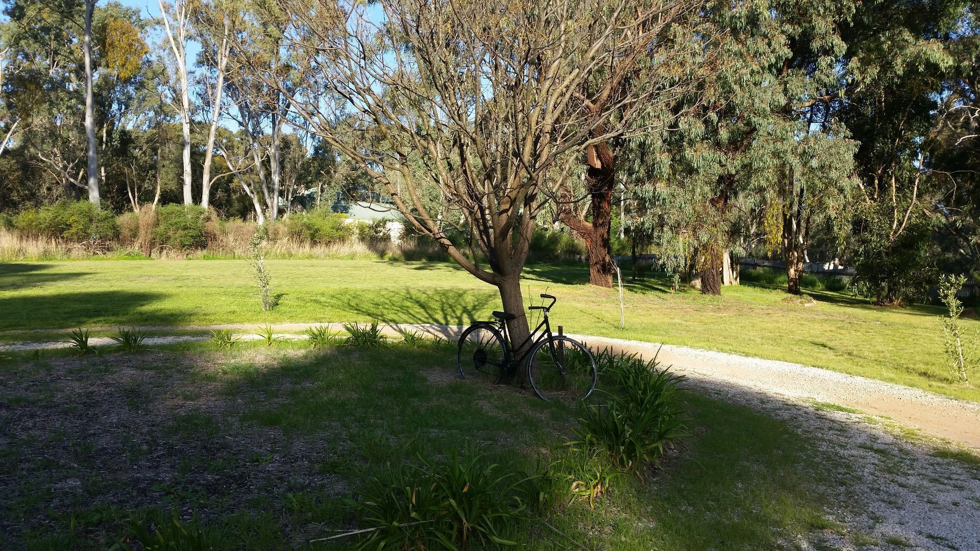 Cooke Cottage- Right on the Riesling Trail — image 25