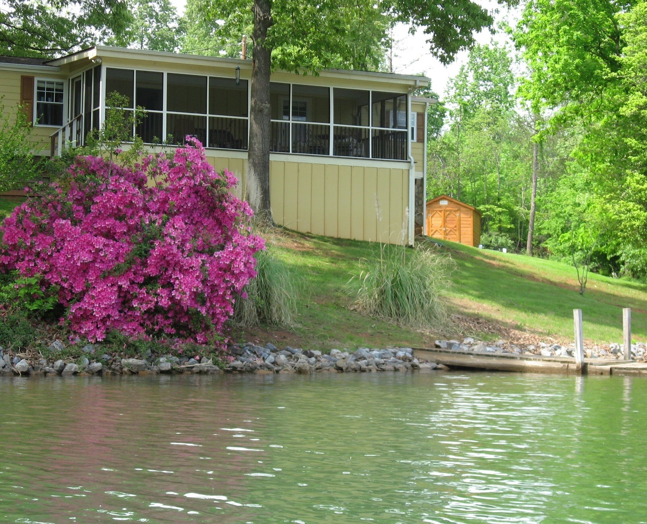 Pet friendly, Gently sloping lot,  large dock, Quiet cove, Great swimming!