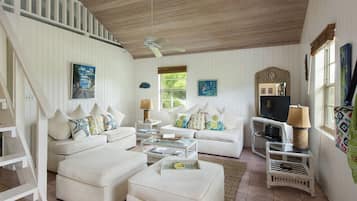 電視、書籍、串流服務、音樂庫