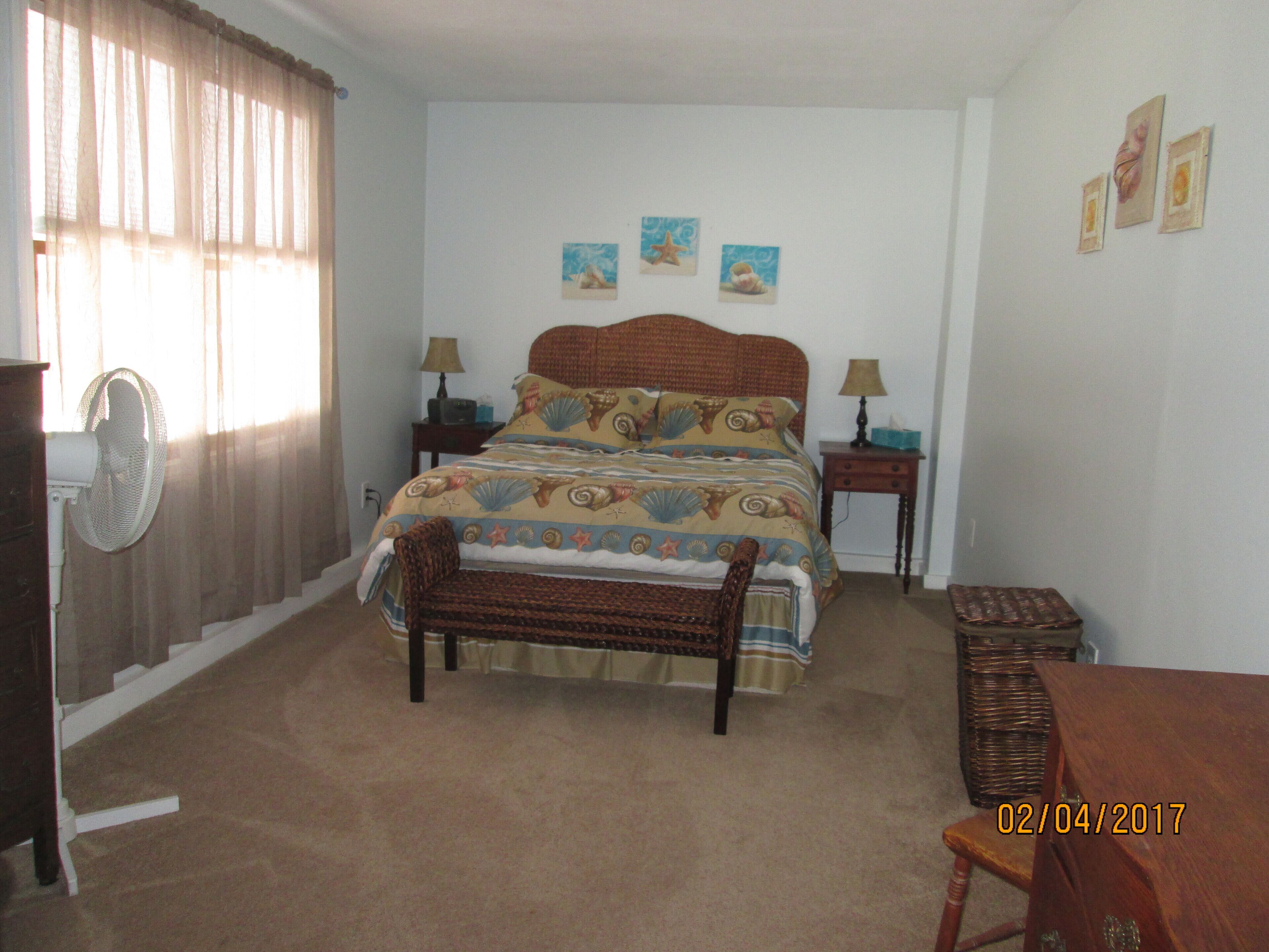 Quiet Neighborhood, For Bird Lovers