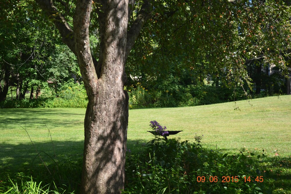 Quiet Neighborhood, For Bird Lovers