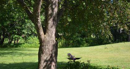 Quartier calme, pour les amoureux des oiseaux