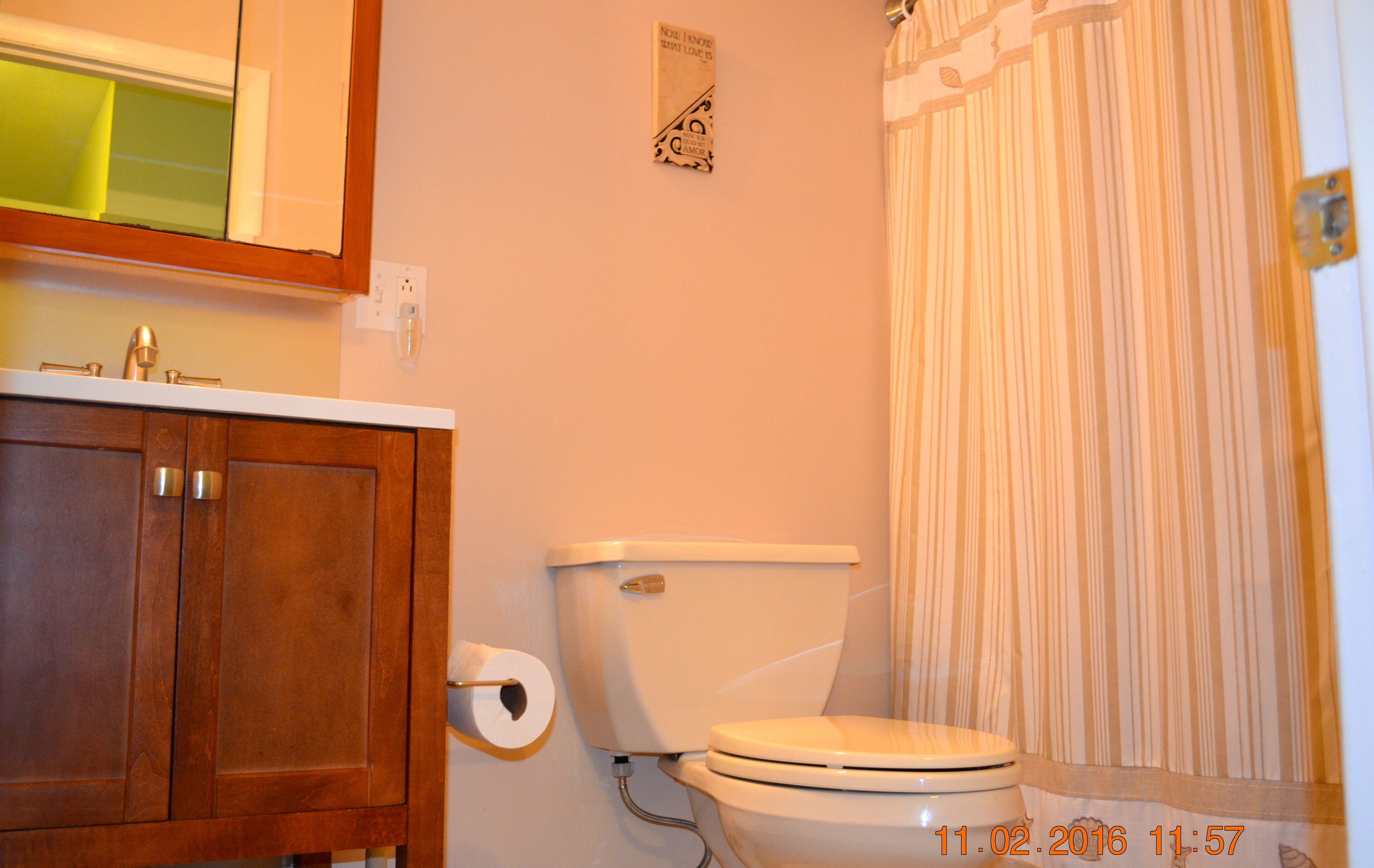 Quiet Neighborhood, For Bird Lovers