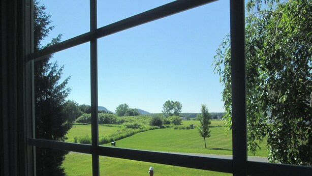 A view through a window of a green landscape with a fire hydrant, trees, and a clear sky.