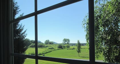 Quiet Neighborhood, For Bird Lovers