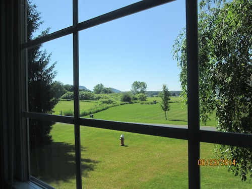 Quiet Neighborhood, For Bird Lovers