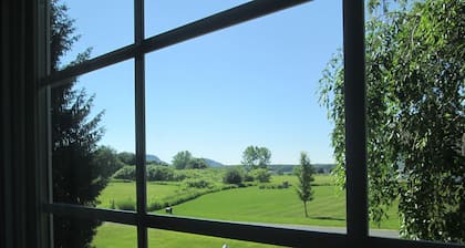 Quiet Neighborhood, For Bird Lovers
