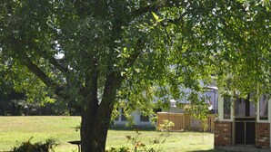 A tree-lined grassy area with a brick building in the background.
