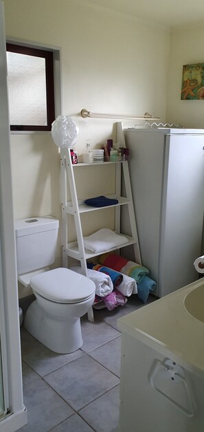 Shower, hair dryer, towels, soap - Papaka Bach - Awesome Waterfront Location (Ngunguru)
