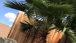 Una jardinera de concreto con una palmera, una cerca de madera y un muro de ladrillo.