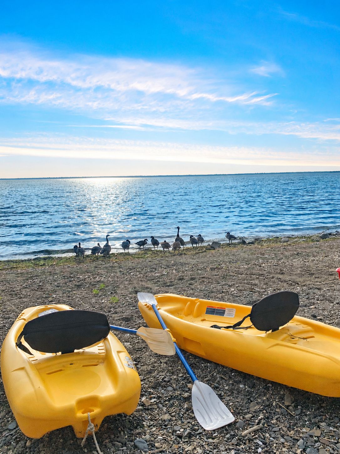 Dos kayaks en una playa pedregosa, con un mar tranquilo y aves de fondo.