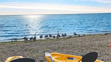 Dos kayaks en una playa pedregosa, con un mar tranquilo y aves de fondo.