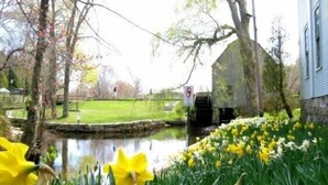 Ein Teich mit gelben Blüten, eine Steinbrücke und ein Gebäude mit blauer Fassade.