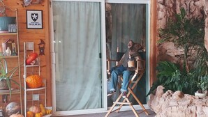 A room with a wooden interior, a large window with a curtain, a shelf with pumpkins, and a chair with a person sitting. - Whitebird Summit 7 bedroom home (Grangeville)