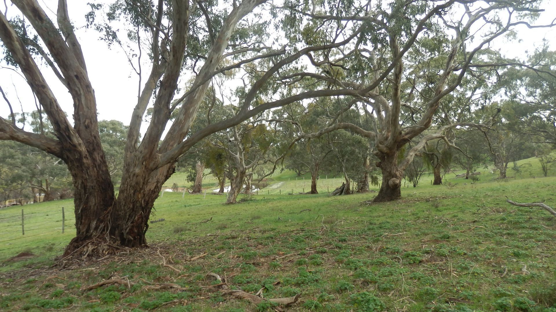 mount charmal cottage. — image 17