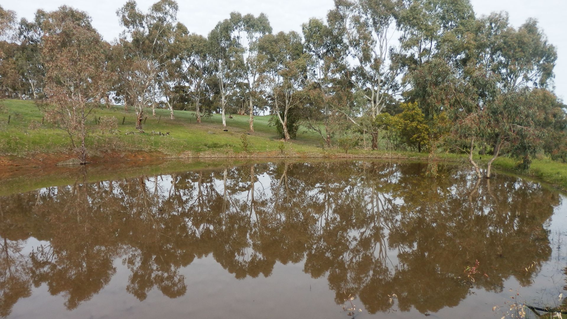 mount charmal cottage. — image 12