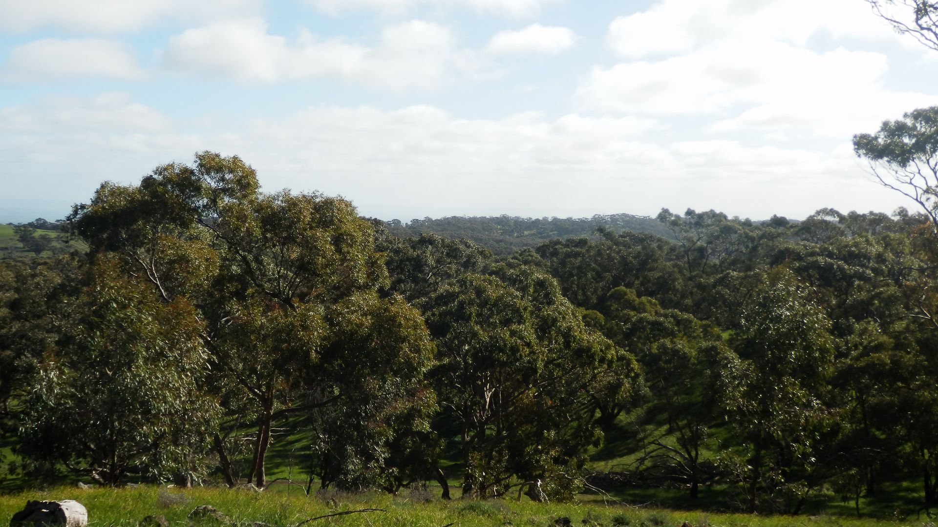 mount charmal cottage. — image 16