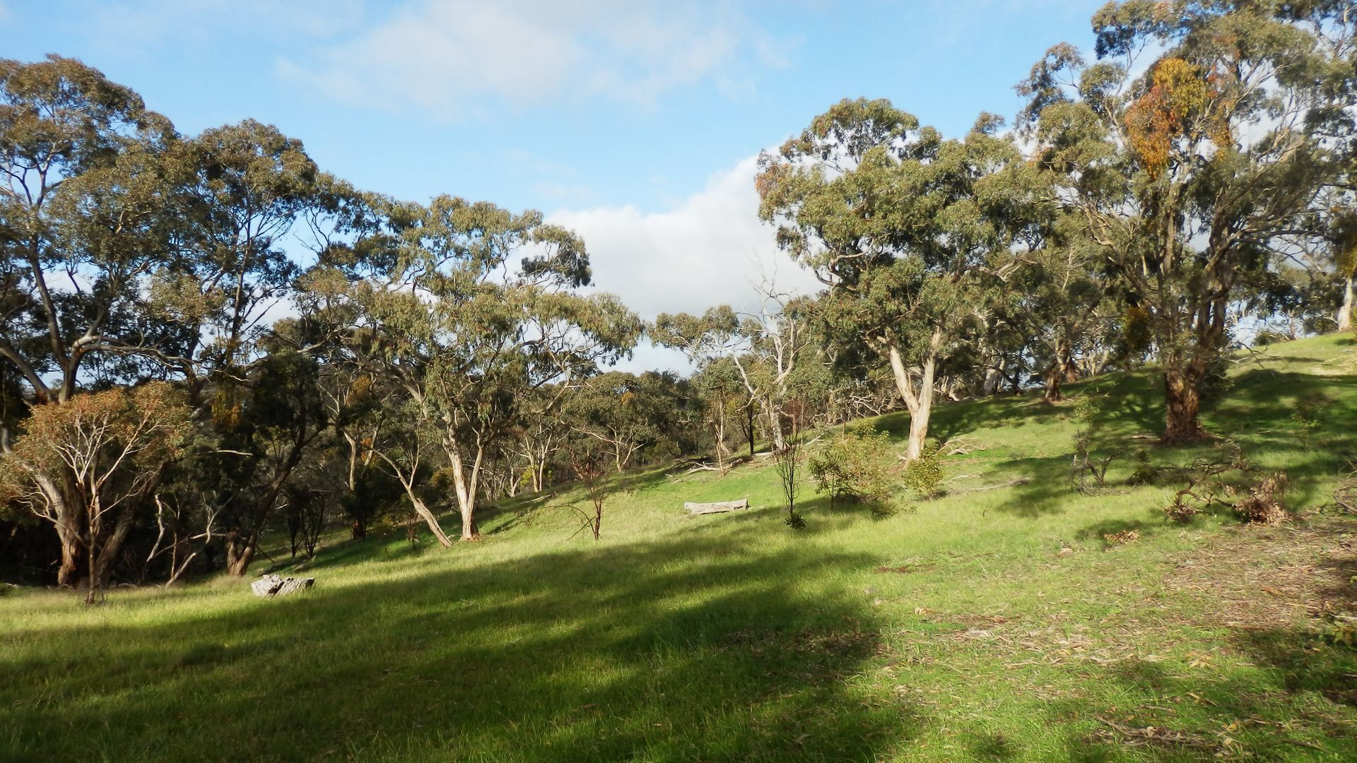 mount charmal cottage. — image 19