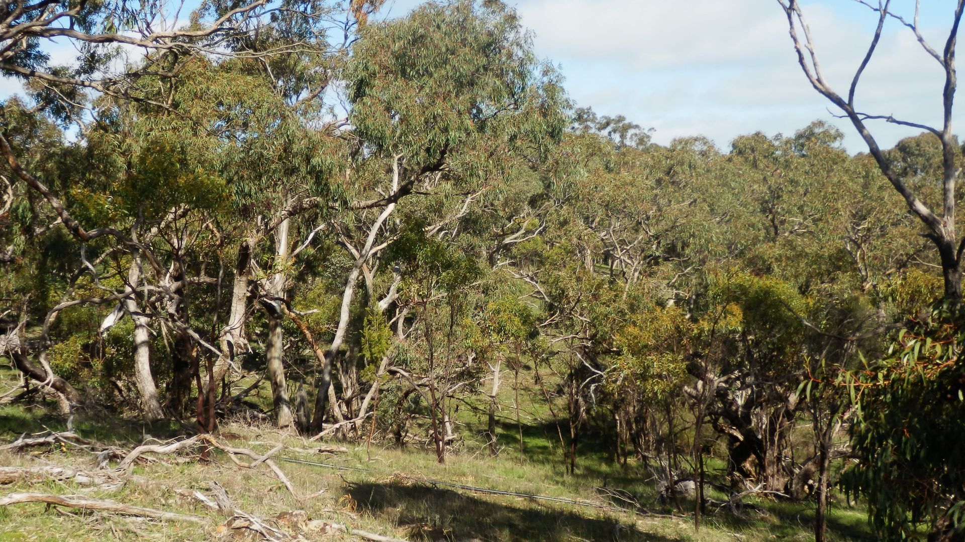 mount charmal cottage. — image 13