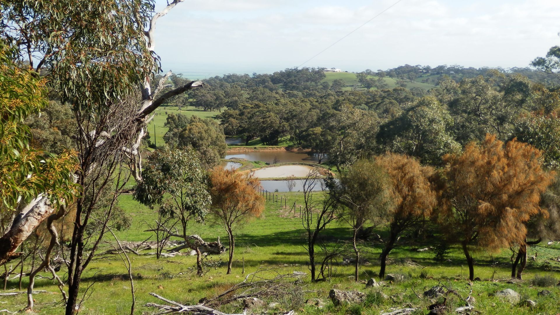 mount charmal cottage. — image 15