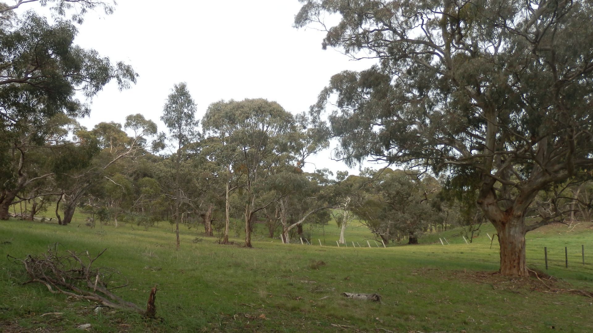 mount charmal cottage. — image 20