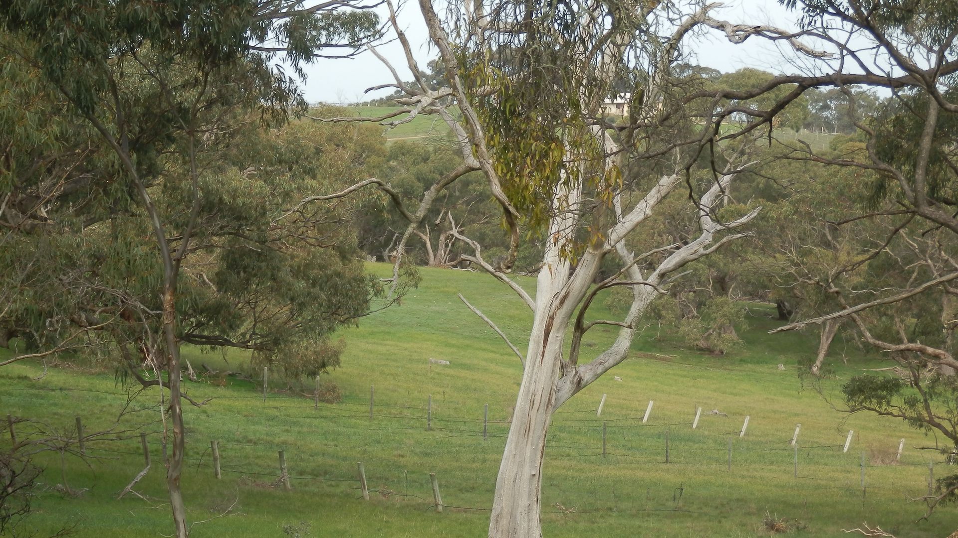mount charmal cottage. — image 18