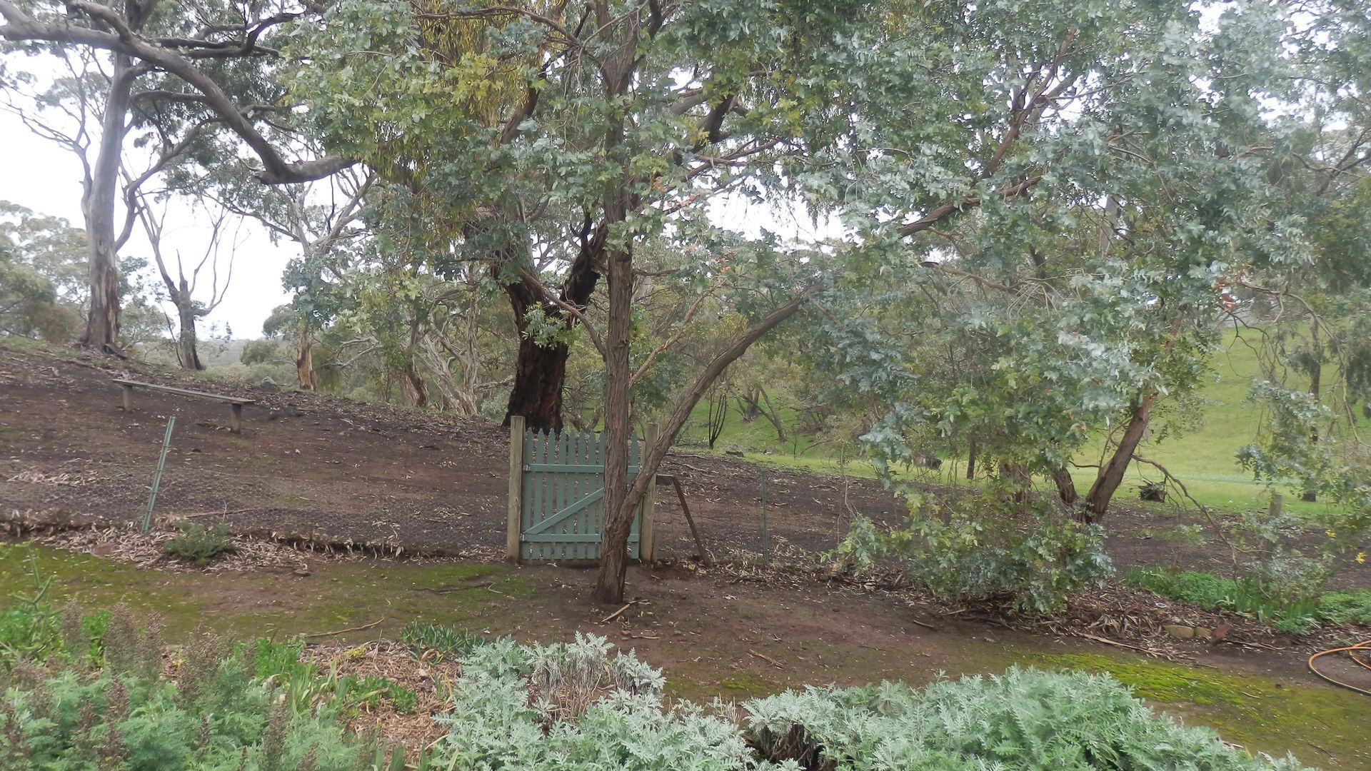 mount charmal cottage. — image 8