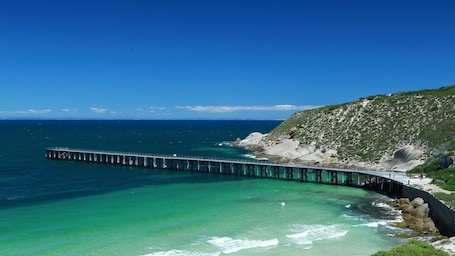 Beach nearby. Driftaway -WIFI, NETFLIX, pet friendly, Comfort + Undercover deck with hammock