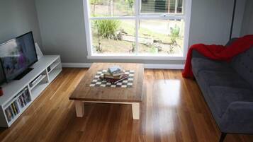 TV, DVD player, books, video library