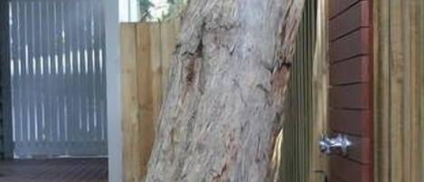 Un grand tronc d’arbre appuyé contre une clôture en bois, dans un jardin.