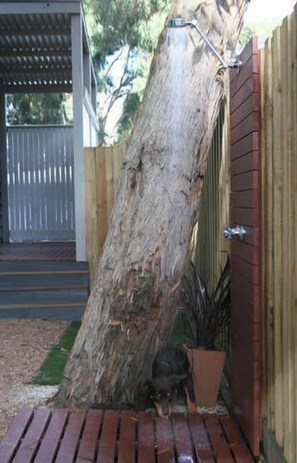 A large tree trunk leaning against a wooden fence in a backyard. - Lorne Surfdogz at Lorne (Lorne)