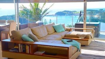 Smart TV, fireplace, DVD player, books