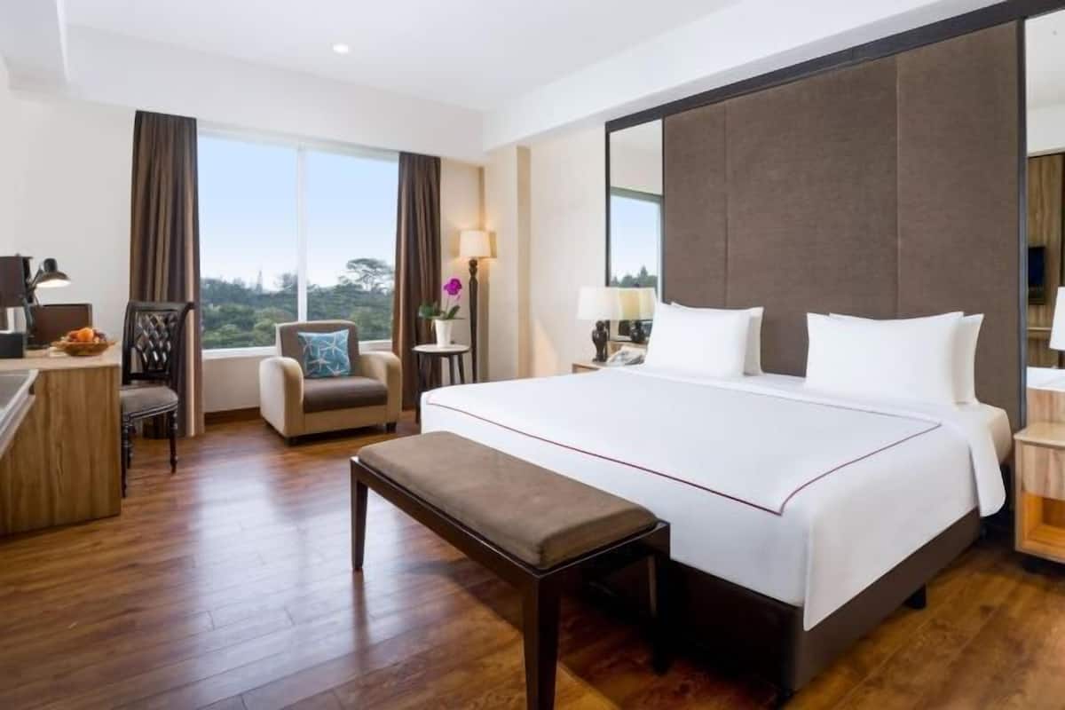 1 phòng ngủ, minibar, két bảo mật tại phòng, phòng cách âm