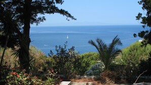 A view of the sea from a garden with potted plants and a stone bench. - House With Sea View On Elba Island - 10 Min Walk from Beach (La Guardia)
