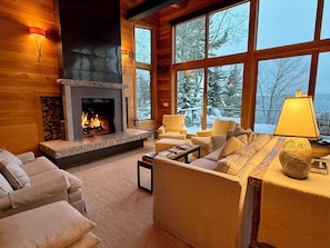 Smart TV, fireplace, books, stereo