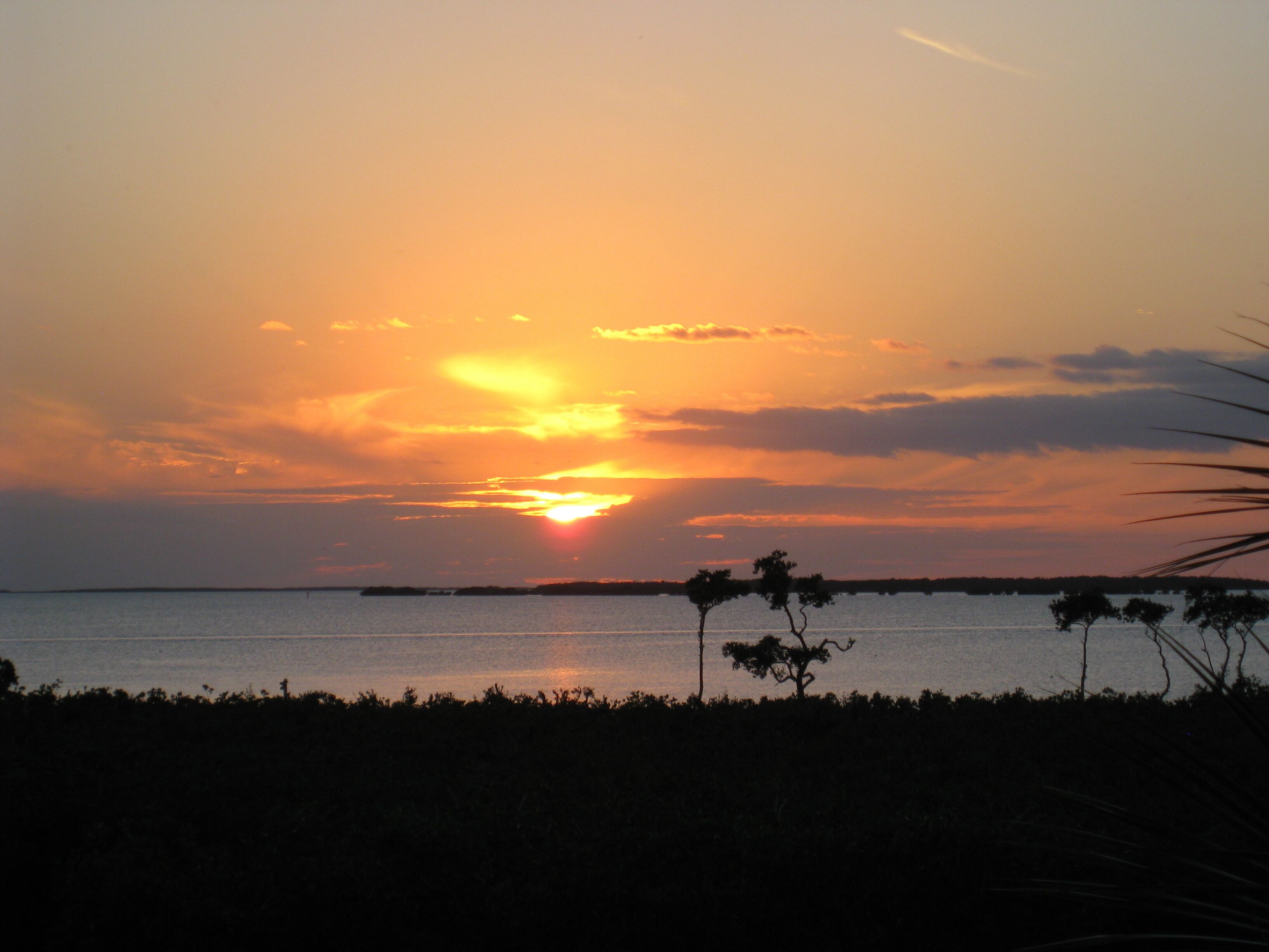 2 BR  2bath Landings of Largo waterfront townhome. Amazing views!