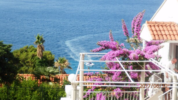 Une vue sur la côte avec un balcon agrémenté de fleurs violettes et d’une balustrade blanche.