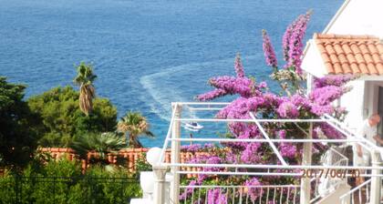 Apartment up to 4 persons, 5 minutes from the beach and Old Town, with parking